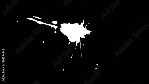 vector illustration of paint splat effect collection on alpha background