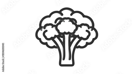 Detailed Broccoli Vitamin Food Vector Illustration Line Icon