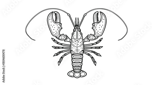 Detailed Crayfish Line Icon Vector Illustration for Designs