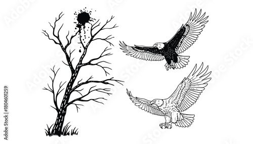 Eagle flying tree vector graphic design nature illustration