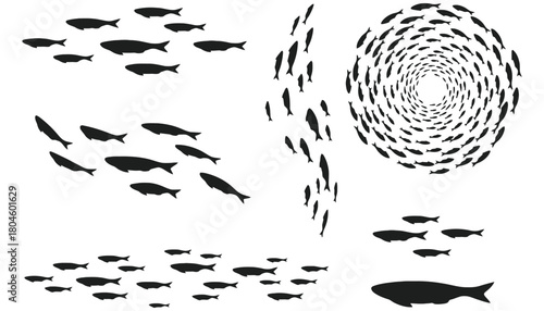 Fish school vector illustration marine life sea animal group