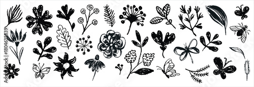 Hand drawn abstract floral doodles vector set. Vector simple flower, leaf ink stroke. Vector illustration