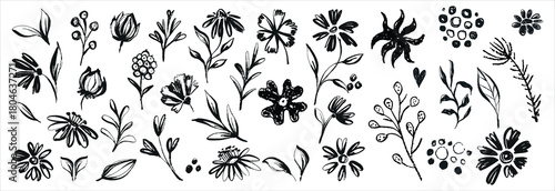 Hand drawn abstract floral doodles vector set. Vector simple flower, leaf ink stroke. Vector illustration