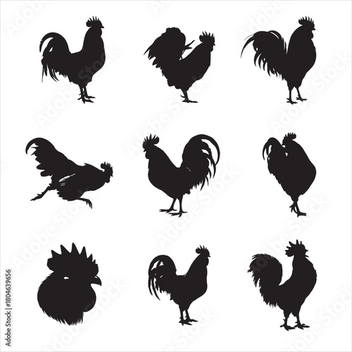 Dynamic Rooster and Chicken Silhouettes Collection