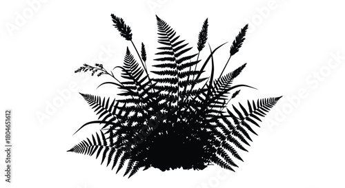 Black silhouette of a lush fern bush with wild grass creating a detailed and natural botanical design on a white background.