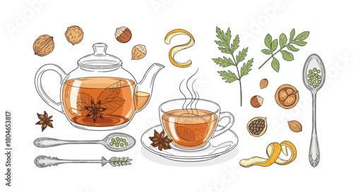 Hand-drawn herbal tea collection with a glass teapot cup of tea star anise nuts and vintage spoons on a white background.