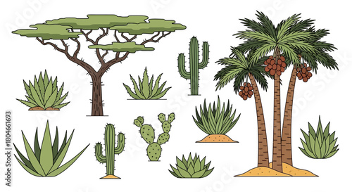Vibrant Illustrated Collection of Diverse Desert Flora Acacia Trees, Palm Trees, Cacti, and Succulent Plants for Arid Landscapes