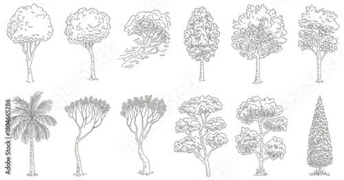 Architecture  cad tree collection in minimal line drawing style, side view outline elements designed for architectural layouts, landscape planning, and technical graphics.