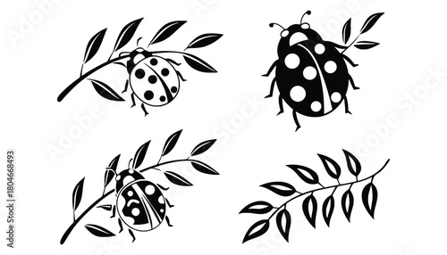Four ladybug illustrations with leaves in black and white design art