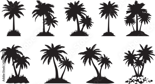 A collection of various detailed black palm tree silhouettes isolated on white background
