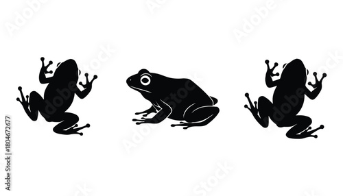 Frog silhouette vector image of amphibians on white background