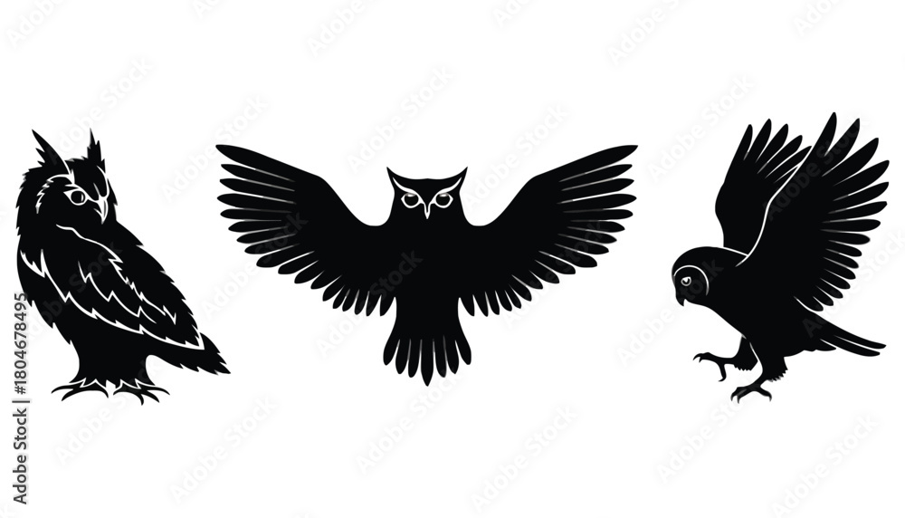 Obraz premium Owl silhouette vector graphic black and white bird illustration
