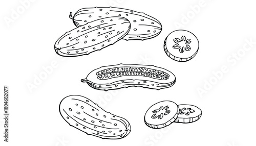 Black and white drawing of whole and sliced cucumbers on white background