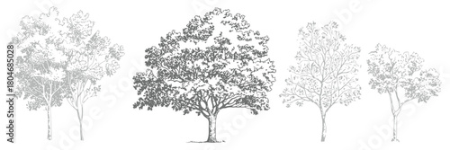 Cad tree line drawing collection, set of minimalist tree outlines for landscape design and architectural modeling, perfect for technical illustrations and plans.