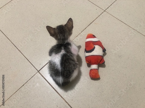 Small kitten sitting next to a stuffed clownfish toy on a tiled floor