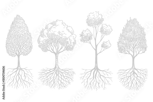 Architecture set of trees with roots vector featuring pine, spruce, and oak contour illustrations, ideal for landscape design, garden planning, environmental projects, and educational purposes.