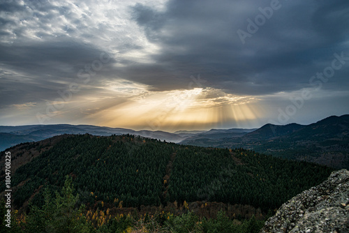 Autumn forest colorful view