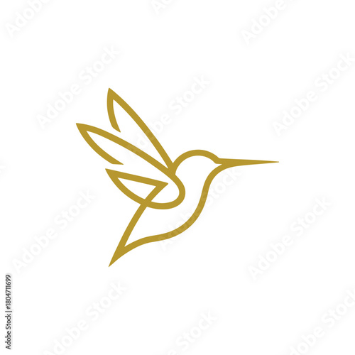 Colorful Hummingbird Vector Logo