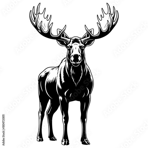 moose hunting logo illsutration vector image t shirt design