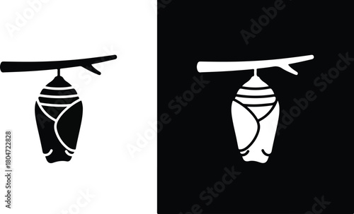 Chrysalis Hanging from Branch A Symbol of Transformation and Growth.