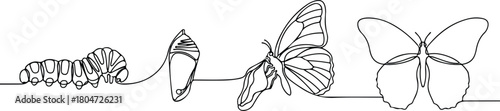 Continuous line drawing of butterfly metamorphosis stages caterpillar chrysalis and butterfly.