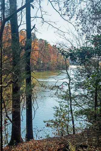 Fall Nature Scene with Colorful Trees and a Lake