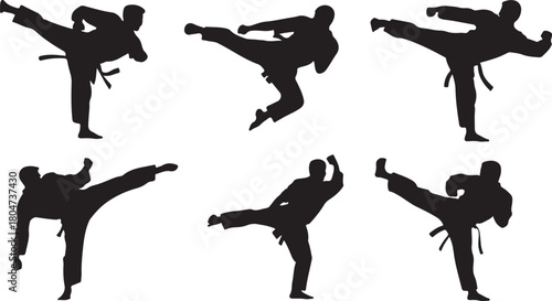 Karate Kicks Silhouettes for Martial Arts