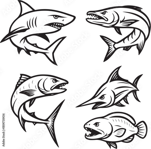 aggressive fish shark barracuda marlin and moray eel black and white vector.eps