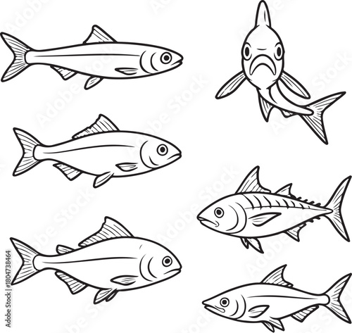 streamlined fish sardine anchovy herring and mackerel black and white vector.eps