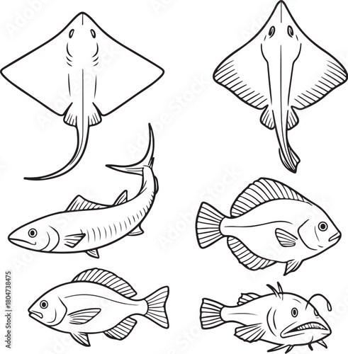 benthic fish ray skate halibut and monkfish top-down view black and white vector.eps