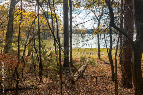 Fall Nature Scene with Colorful Trees and a Lake