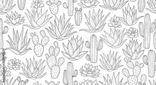 Seamless pattern of cactus and succulent plants vector illustration outline drawing for design art