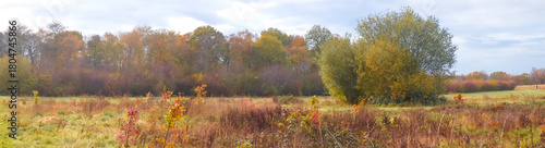 Wallpaper Mural Peacock Meadows Bracknell Berkshire UK. Autumn panorama of meadows Torontodigital.ca