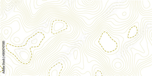 Topographic map background. Geographic line map with elevation assignments. Contour background geographic grid. Vector illustration.