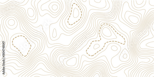 Topographic map background. Geographic line map with elevation assignments. Contour background geographic grid. Vector illustration.