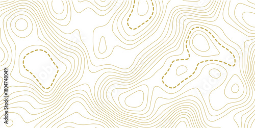 Topographic map background. Geographic line map with elevation assignments. Contour background geographic grid. Vector illustration.