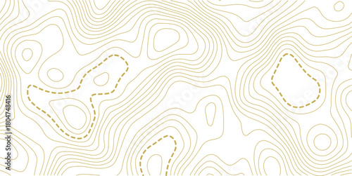 Topographic map background. Geographic line map with elevation assignments. Contour background geographic grid. Vector illustration.