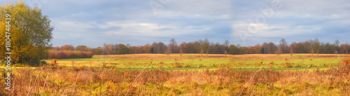 Wallpaper Mural Peacock Meadows Bracknell Berkshire UK. Autumn panorama of meadows Torontodigital.ca