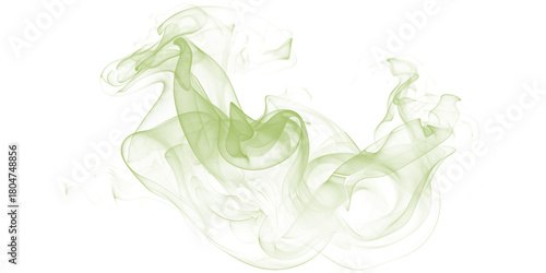 Schilderij op canvas Ethereal wisps of jade smoke curling gently on a stark black canvas an abstract