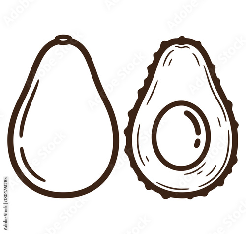 Hand drawn illustration of fresh ripe avocado whole and sliced with seed in line art style