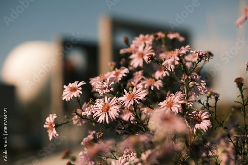 Wallpaper Mural Paris, France Torontodigital.ca