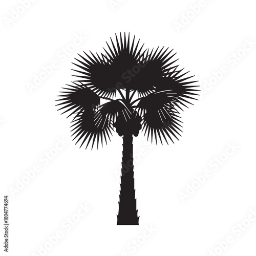 "South Carolina's Sabal Palmetto"