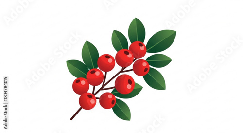 Vibrant red holly berries with lush green leaves create a festive and natural seasonal accent perfect for holiday designs and winter themes