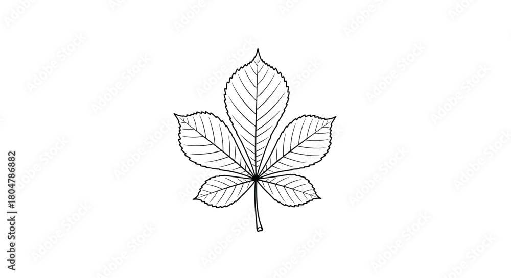 Fototapeta premium Poplar Leaf Minimal Nature Line Art vector illusration