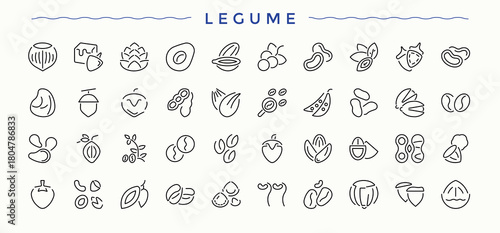 Legume icon. Thin line icons set. Pack of peanut, walnut, food, nut, nuts. Art and illustration. Nuts icon collection.