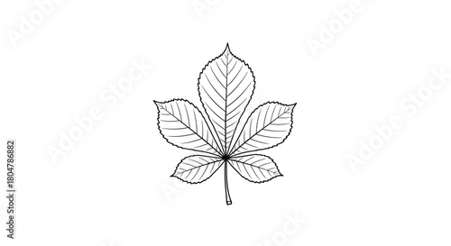 Poplar Leaf Minimal Nature Line Art vector illusration