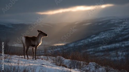 Majestic reindeer basks in ethereal Arctic twilight, weaving mythic Yule celebrations and Winter Solstice tales across snowy realms