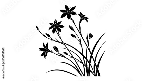 Black and white floral design with lily flowers and buds art