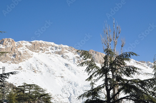 Canvas Print snow covered mountains