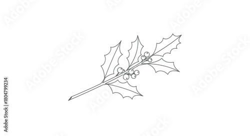 Poplar Leaf Handcrafted Botanical Outline vector illusration
